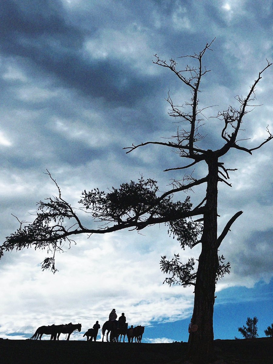 Azhennn2's tweet image. 哈萨克文化里人与人之间产生友情或者爱情是由于被看见，
所以在哈萨克语中“我喜欢你”，
意思是“我清楚地看见你”