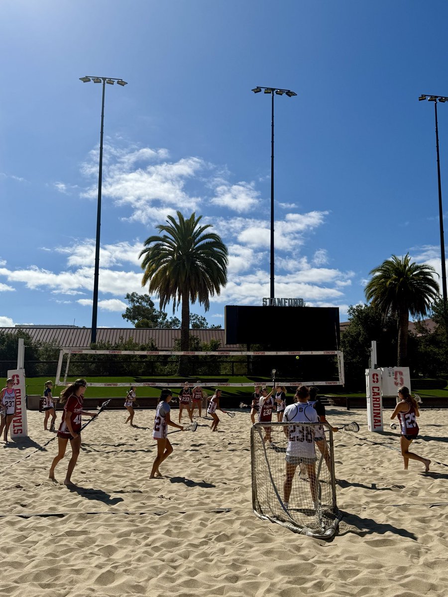 Stanford Lacrosse tweet media