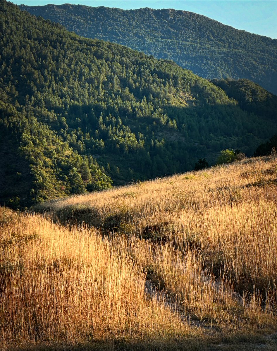 S’en aller par les chemins.
#france #goldenhour #summer