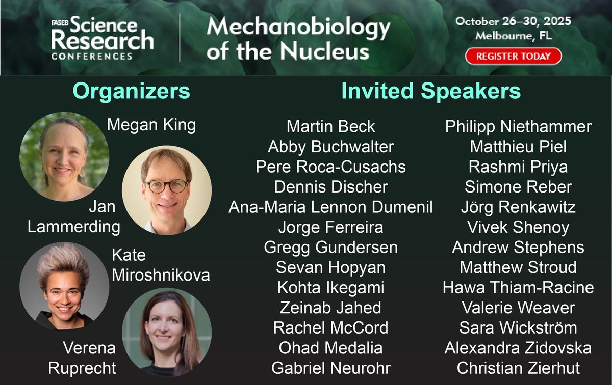 Interested in #mechanobiology of the cell nucleus? The submission deadline for the FASEB Science Research Conference on the Mechanobiology of the Nucleus is August 31, 2025. Submit your abstract to be considered for a platform presentation. 
#MBNSRC
events.faseb.org/event/Mechanob…