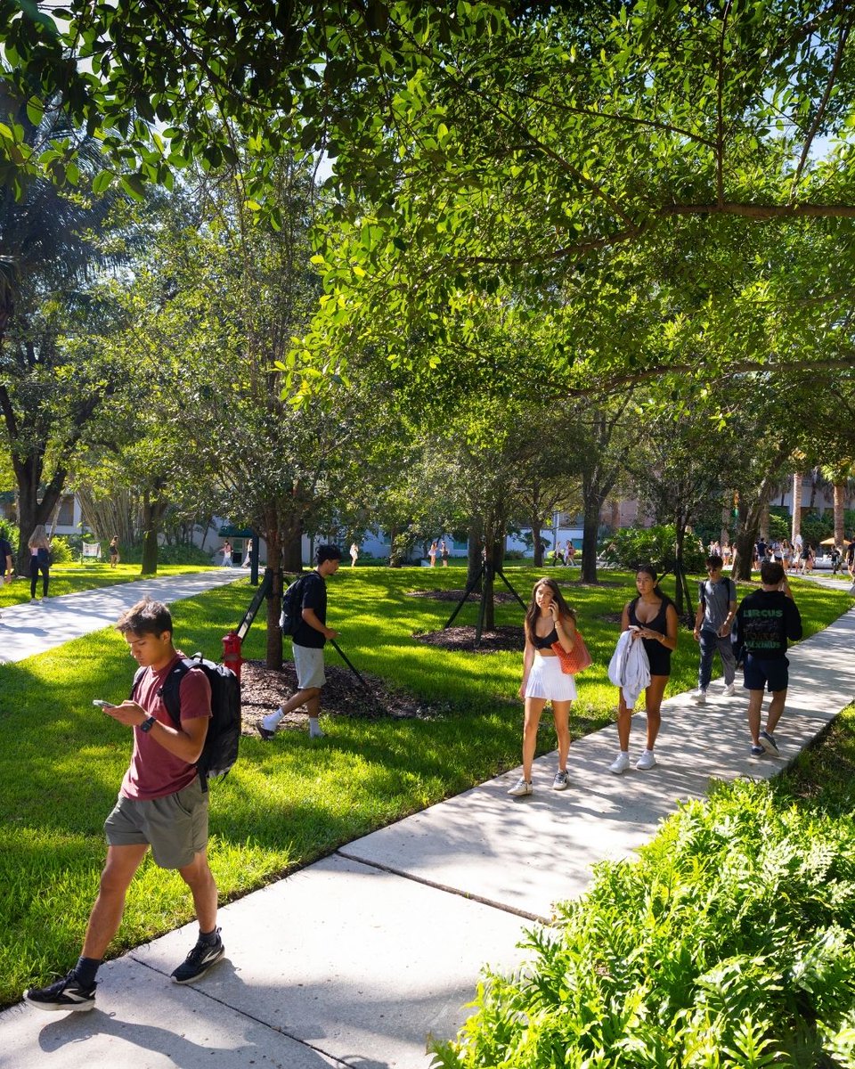 We're so happy our Canes are back! 🧡💚