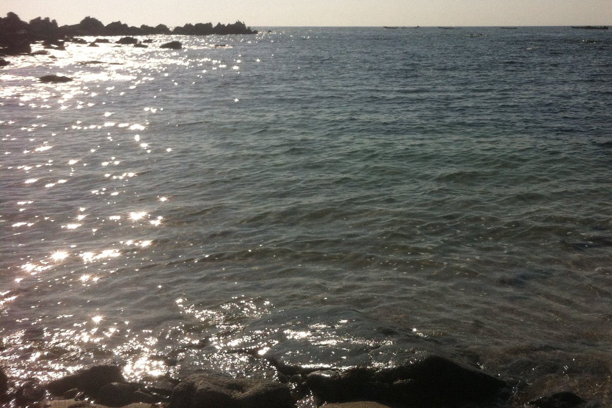 blueasmrr's tweet image. 