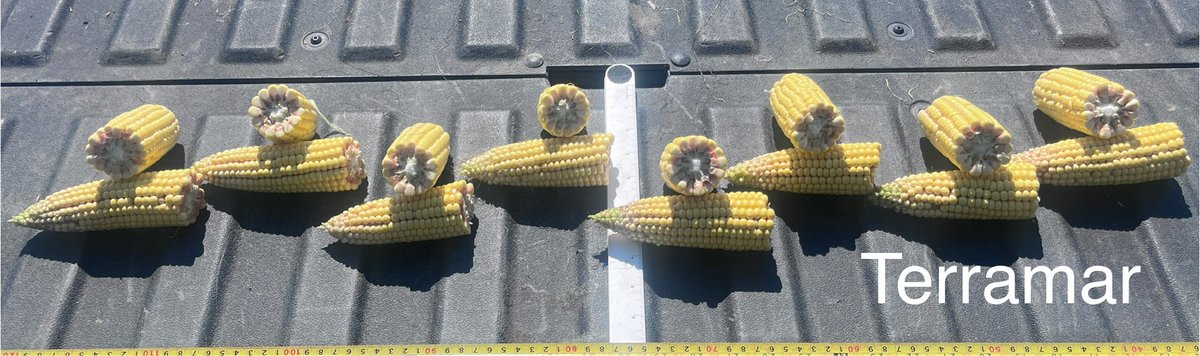 Adam Voss tweet media