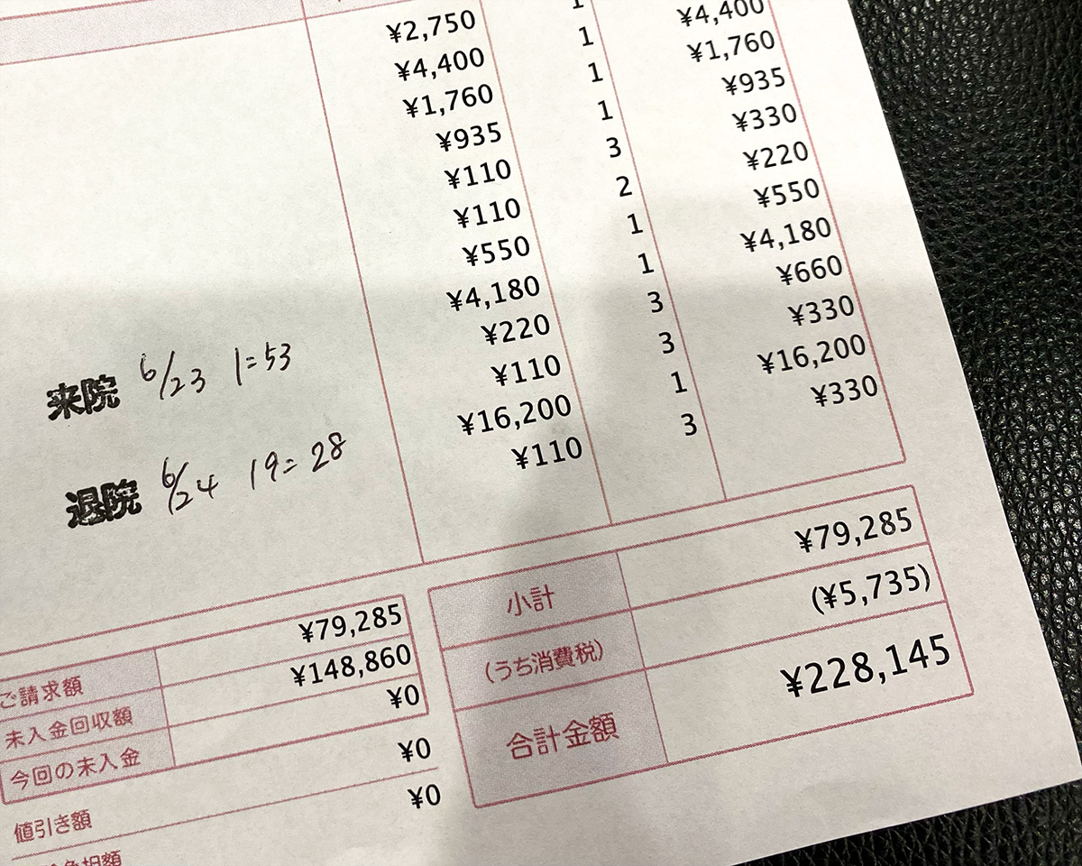 ほんとにそう。若いうちは元気かもしれないけど、人間と一緒で老いれば病気になったりする。ニコが夜間に突然急変して救急病院に連れて行って、あれこれ検査してもらいつつ一泊した値段がこれ。この後、自宅と仕事場用にペット用酸素室を作るために酸素濃縮器と酸素濃度計を買ったからさらに数十万。