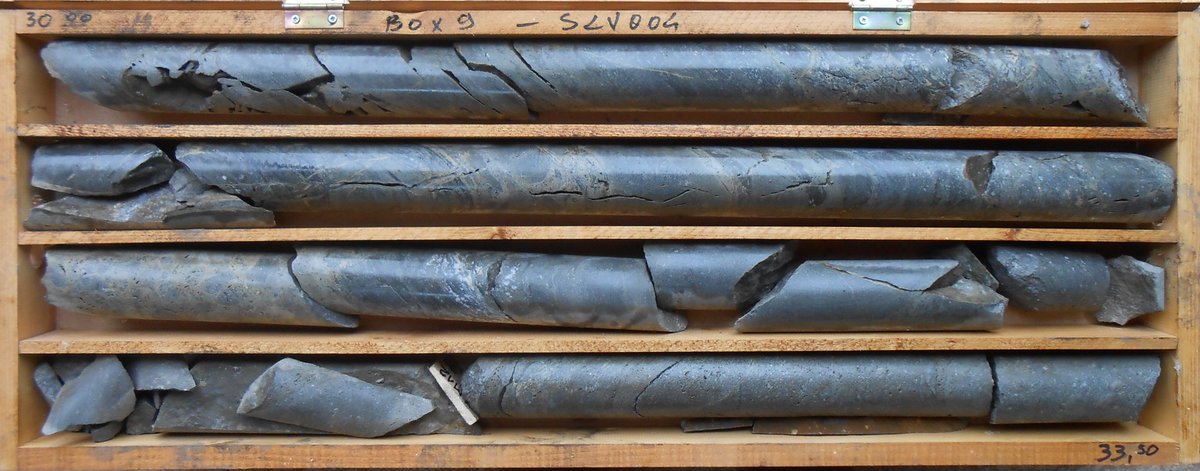 One of the advantages of investing in a prospect generator is diversification of metal price risk. While a sole metal focused exploration company can make a windfall from a rising metal’s price, they also run the risk of underperformance if the underlying metal’s price starts