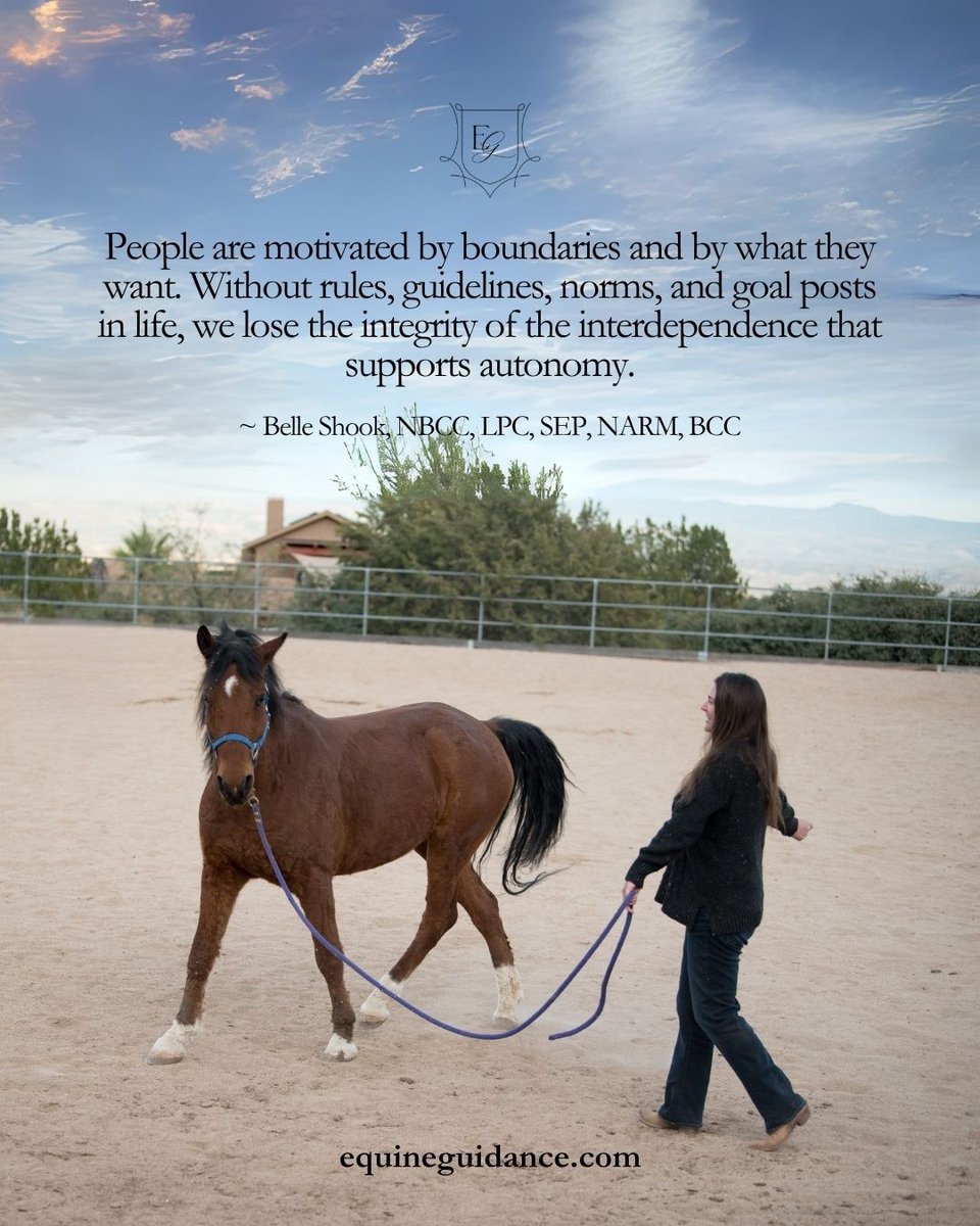 Belle Shook, LPC, SEP, NARM, Equine Guidance® tweet media