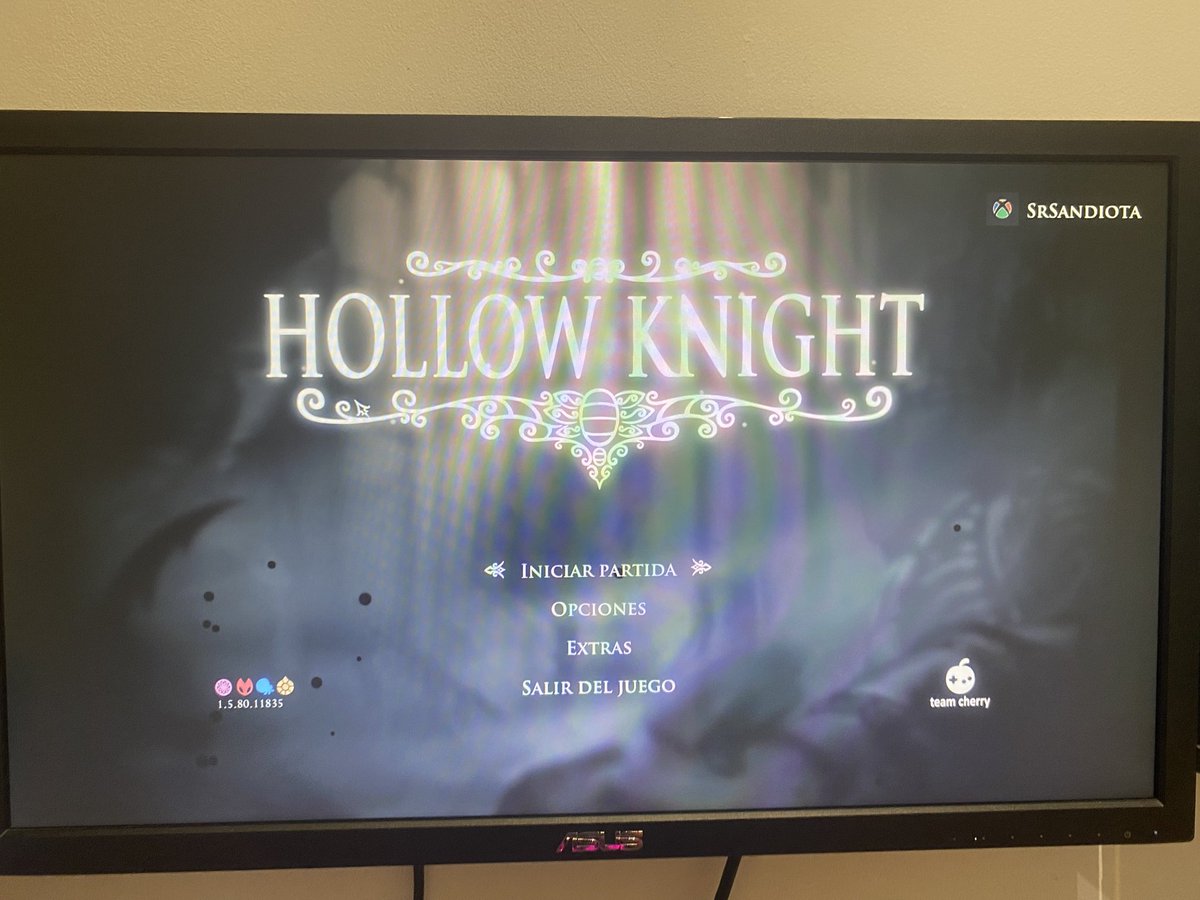 Caballero del bujero (Hollow Knight)
Voy a ver si pillo el hype de Silksong o me seguira pareciendo un meme gracioso