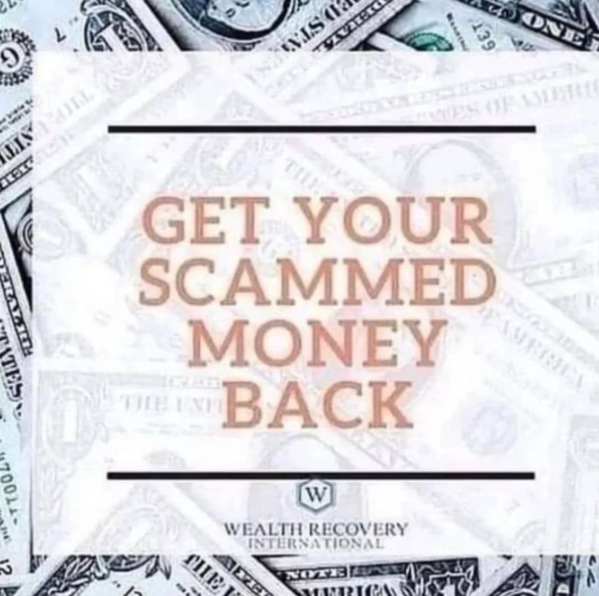 Have you been scammed before? Send a dm now