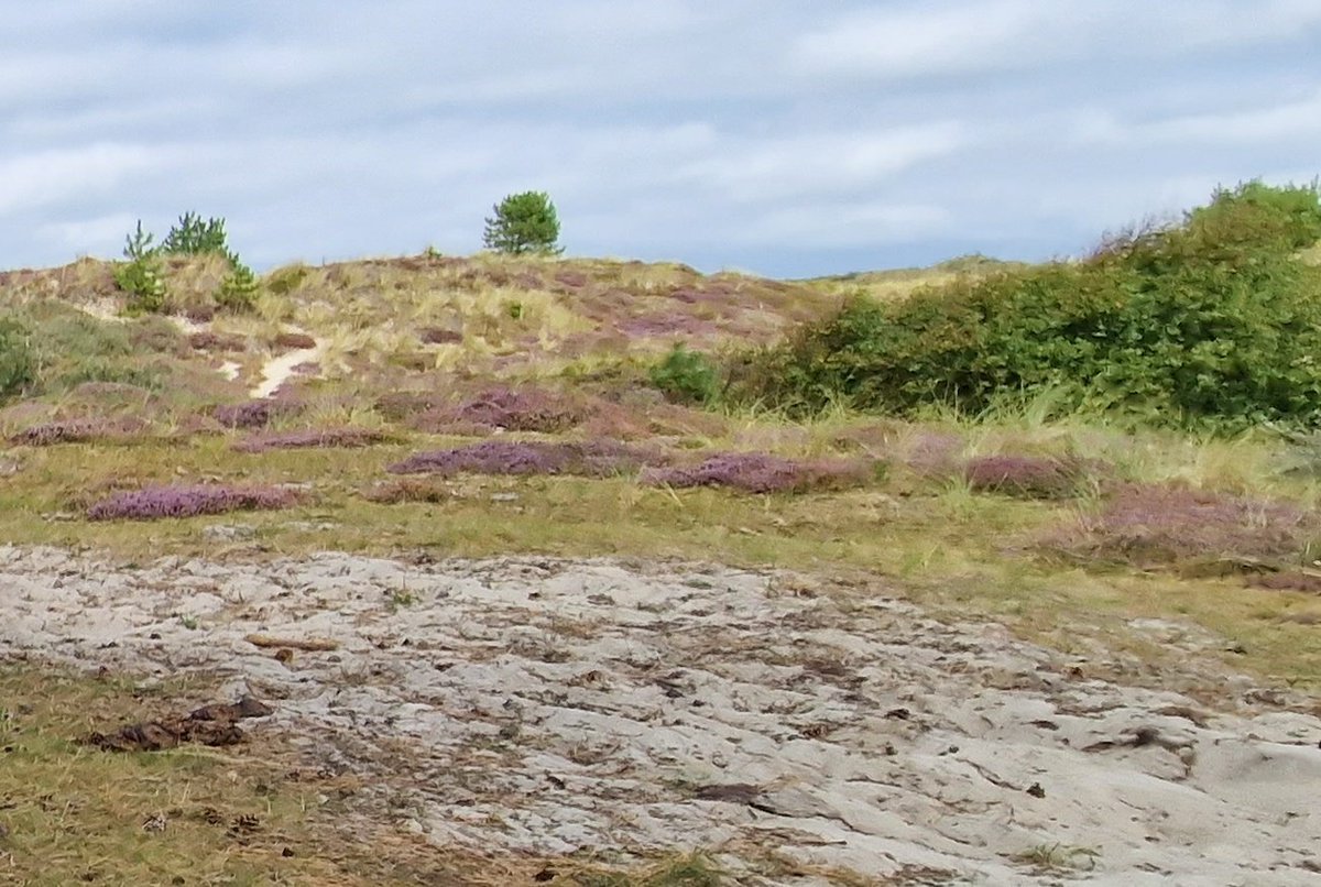 Marco Mout (@marcomout) on Twitter photo Laatste nieuws van Terschexel, het té onbekende Waddeneiland!
De Graaf van #Terschexel heeft besloten het eiland ivm zeespiegelstijging te verhogen.
Toeristen moeten nu 5 kilo zand p.p. meenemen, de zogenaamde zandverhogingsbelasting.
<a href="/MinPres/">Dick Schoof</a> en <a href="/Financien/">Ministerie van Financiën</a> zijn al akkoord! Laatste nieuws van Terschexel, het té onbekende Waddeneiland!
De Graaf van #Terschexel heeft besloten het eiland ivm zeespiegelstijging te verhogen.
Toeristen moeten nu 5 kilo zand p.p. meenemen, de zogenaamde zandverhogingsbelasting.
<a href="/MinPres/">Dick Schoof</a> en <a href="/Financien/">Ministerie van Financiën</a> zijn al akkoord!