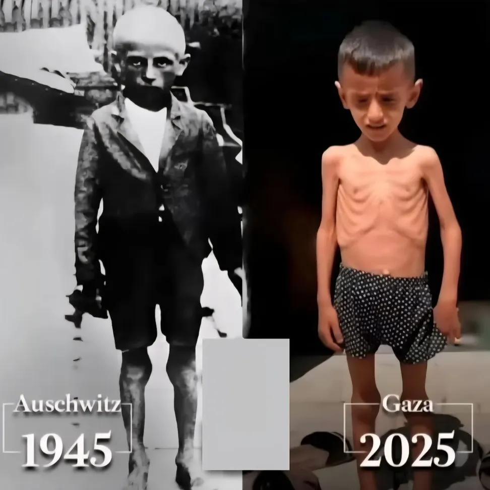 andrewmaddy's tweet image. 80 years. We&apos;ve learnt nothing.