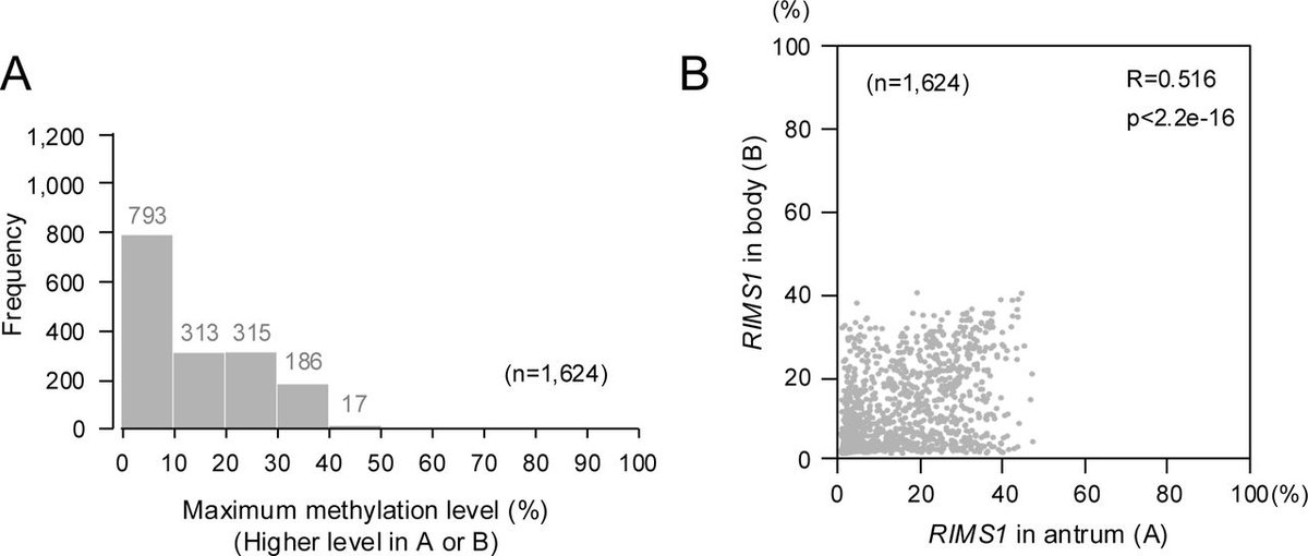 Gut_BMJ's tweet photo. #GUTImages from the paper by Yamada et al entitled

"Precision risk stratification of primary gastric cancer after eradication of H. pylori by a DNA methylation marker: a multicentre prospective study" via

https://t.co/XYIzRt1aLx

#GastricCancer https://t.co/TnjSrKjyYI
