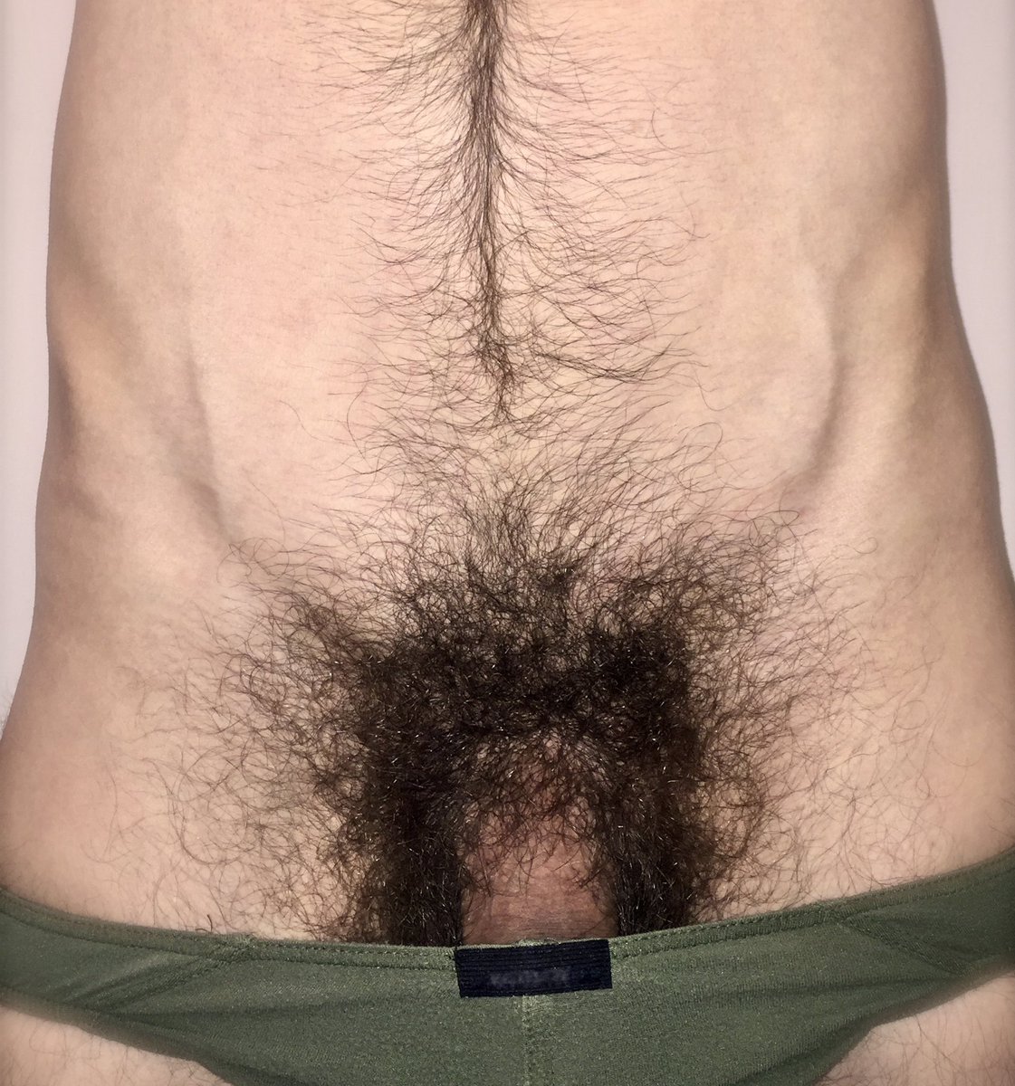 Bushpitsmen's tweet photo. Jungle
#pubes #pantsdown #male #cock https://t.co/jSvrQViJCH