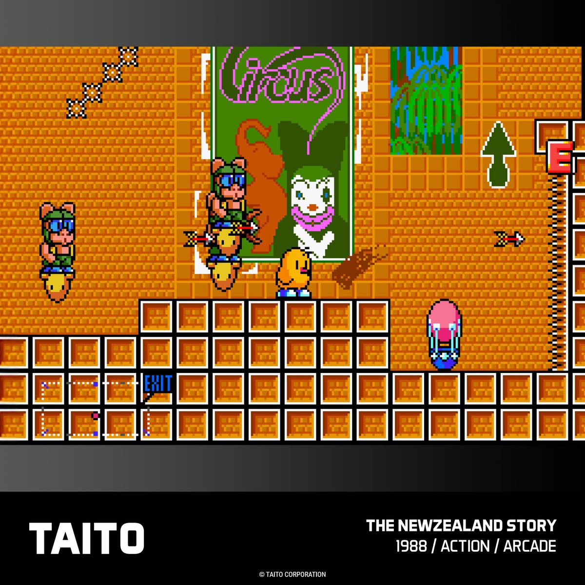 evercaderetro's tweet photo. The TAITO Arcade 2 Evercade cartridge is a bumper collection of arcade legends, including THE NEWZEALAND STORY, OPERATION WOLF, RASTAN, ELEVATOR ACTION and more!

Preorders now open: https://t.co/3odRf3dUea https://t.co/aY4S25ujQe