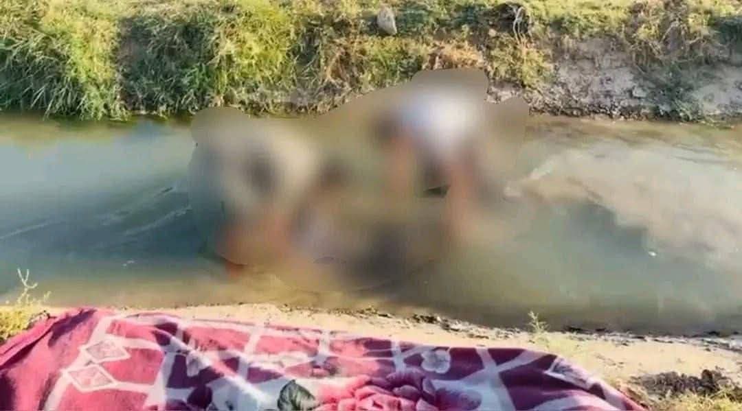 "هديل عبد الحافظ"
هل سمعتم بهذا الاسم خلال اخر 24 ساعة؟!
متأكد ان 99% منكم لم يسمع باسمها

والسبب بسيط ومؤلم: لأن من يستثمر آلام الناس ويحول المآسي إلى أوراق سياسية لم يوجه ولم يسمح بأن يتم تداول هذا الخبر المؤلم الذي لا يقل خطورة عن قضية المرحومة "المجنى عليها" بان زياد بل يكاد