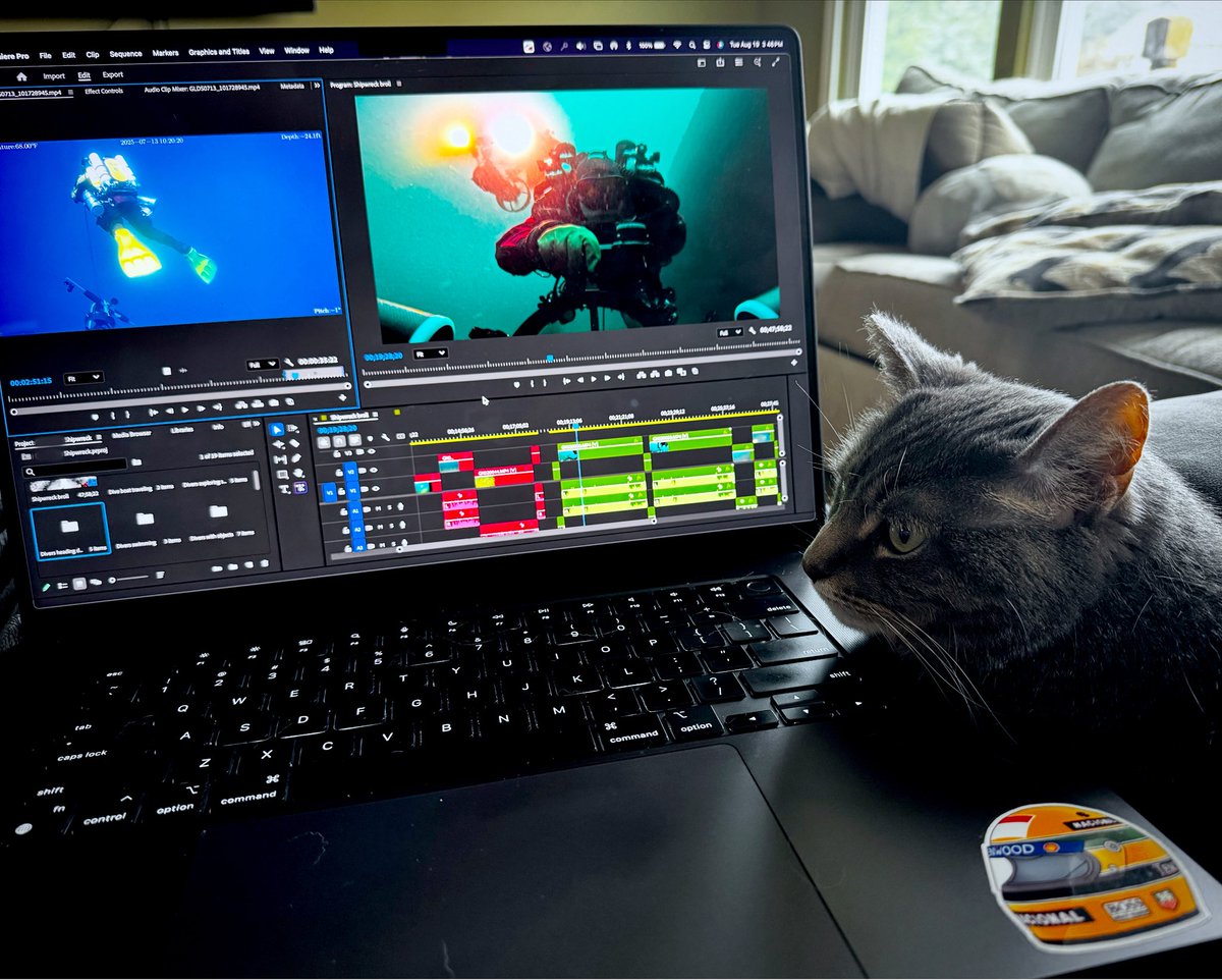 ericseals's tweet image. Today I made the mistake of letting Bailey help me edit a shipwreck video. All she wanted to do was constantly headbutt me or kneed at the keys on my @Apple #MacBookPro which @Adobe #PremierePro didn’t like so I fired her! 🎥 🐈‍⬛