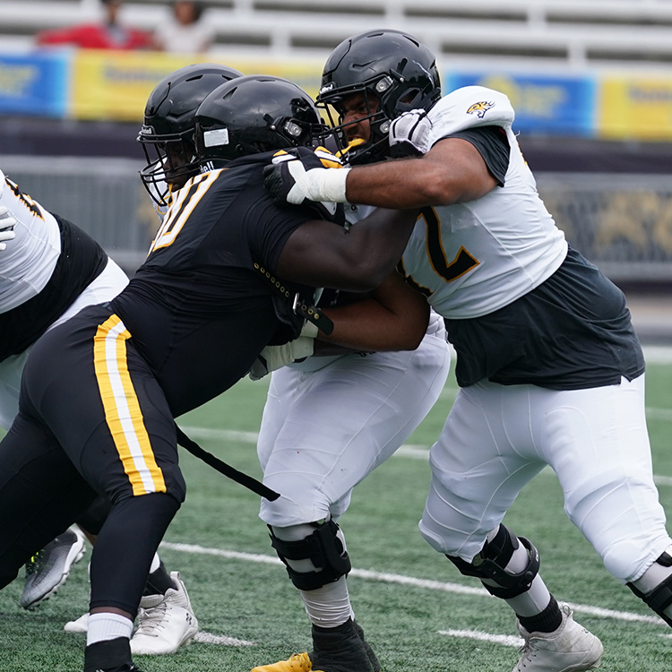 Towson Football tweet media