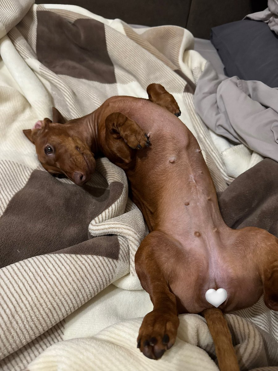 Всем спать!