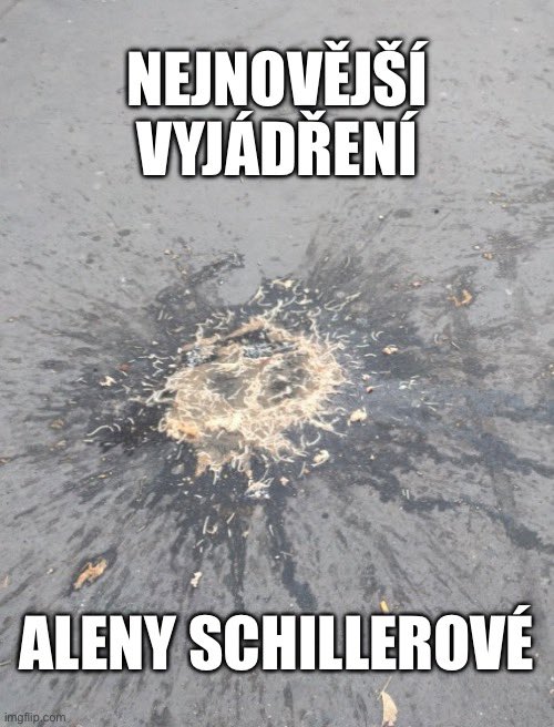 <a href="/alenaschillerov/">Alena Schillerová</a> Děkujeme kriminální ústředně za geniální rozbor…
