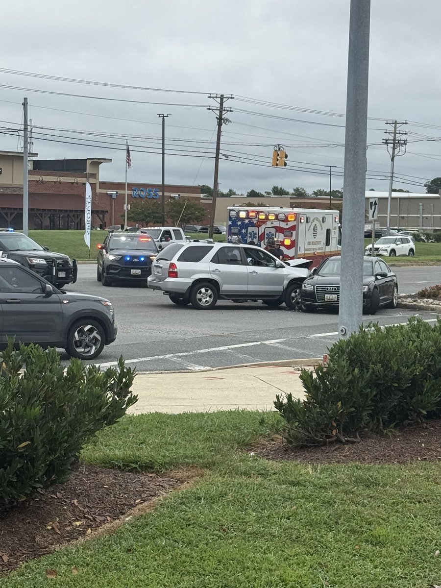 Kim Danek tweet media