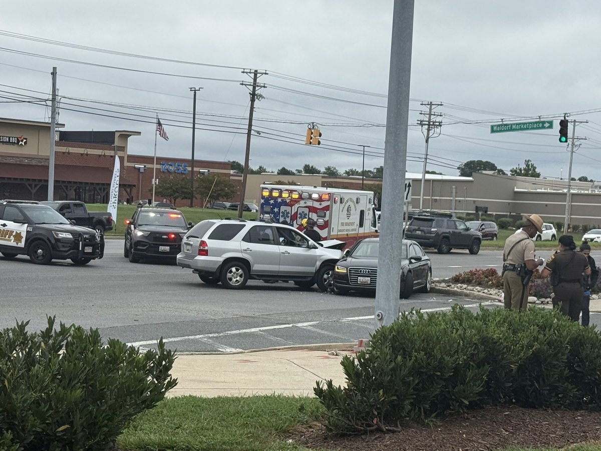 Kim Danek tweet media