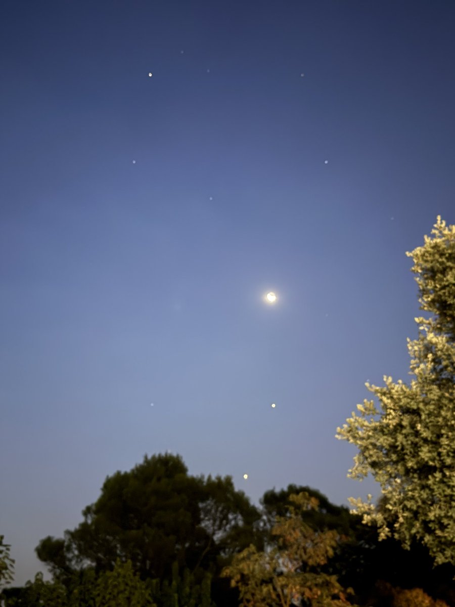 En el #DíaMundialDeLaFotografía os dejo lo que para mi es una fotaza

La Luna, Júpiter y Venus asomando entre los árboles 

#Fotografía