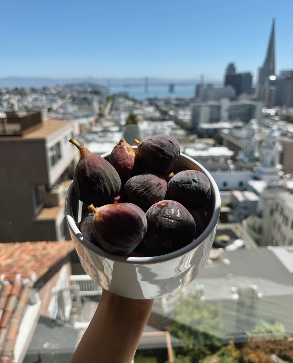 TiffanyFong's tweet photo. figs look like little ballsacks. https://t.co/FqMBdceT5Z
