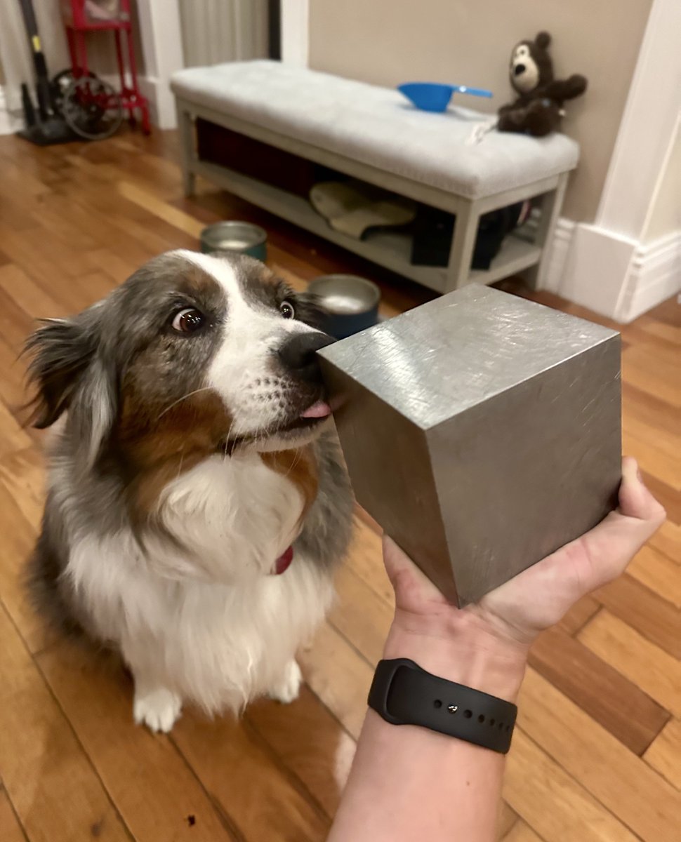 Accidentally became important at work and now I’m “the keeper of the cube”  :/