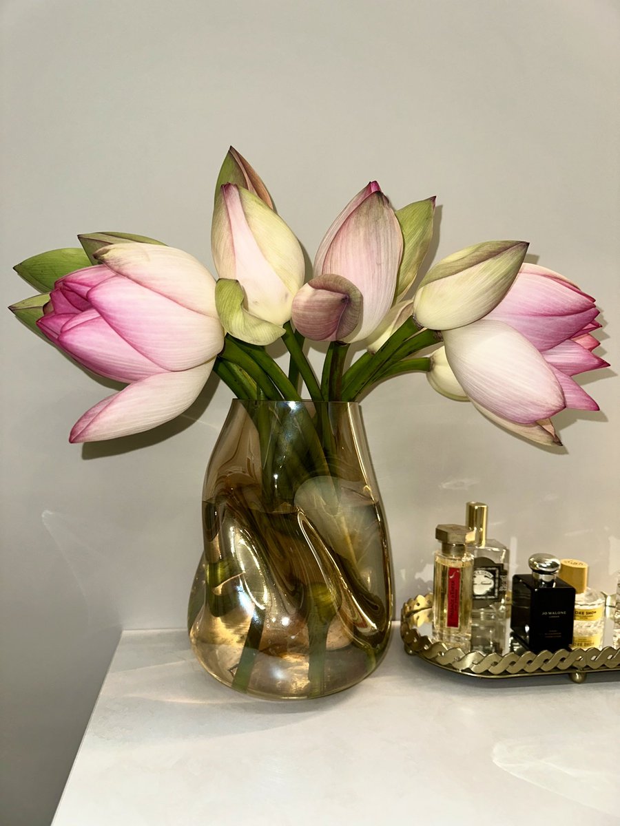 Акт 1: приехал букет мечты, я в экстазе, ща раскроются, как в азиатской новелле!
Акт 2: гуглю уход за лотосами, попутно выясняю, что хрен мне, а не сказка, они в неволе не цветут. Ладно, думаю, бутоны тоже норм.
Акт 3: возвращаюсь домой - а там вот такое нихао. Наврали, выходит?