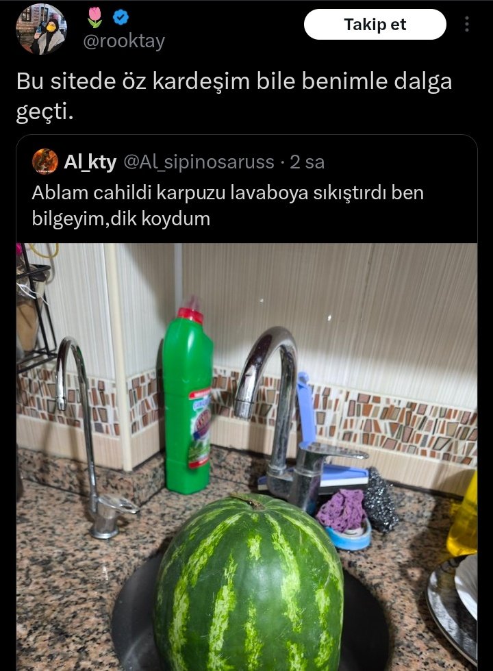 ecesusbence's tweet photo. Ya imdatttt ya bacım farkında mısınız karpuzun ciddi anlamda suyu çıktı bi sal şu amk siteyi tüm aile karpuz fenomeni mi olcaniz yeter da
. https://t.co/BiLvkySCM3
