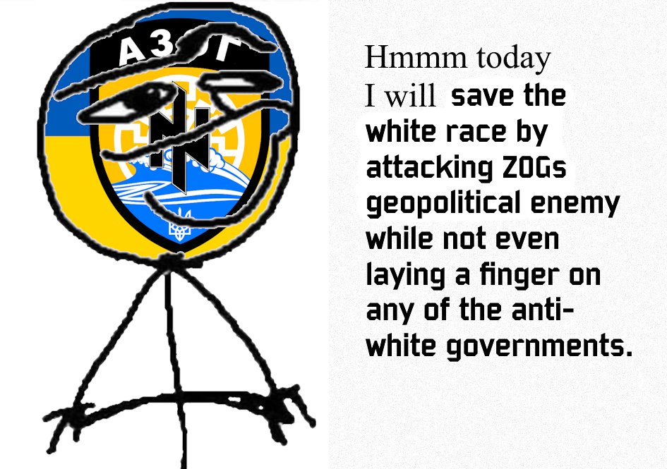 М. Соколов || 🇸🇪&⬛️🟨⬜️ ⬟ (@blue_eagle_ldps) on Twitter photo 