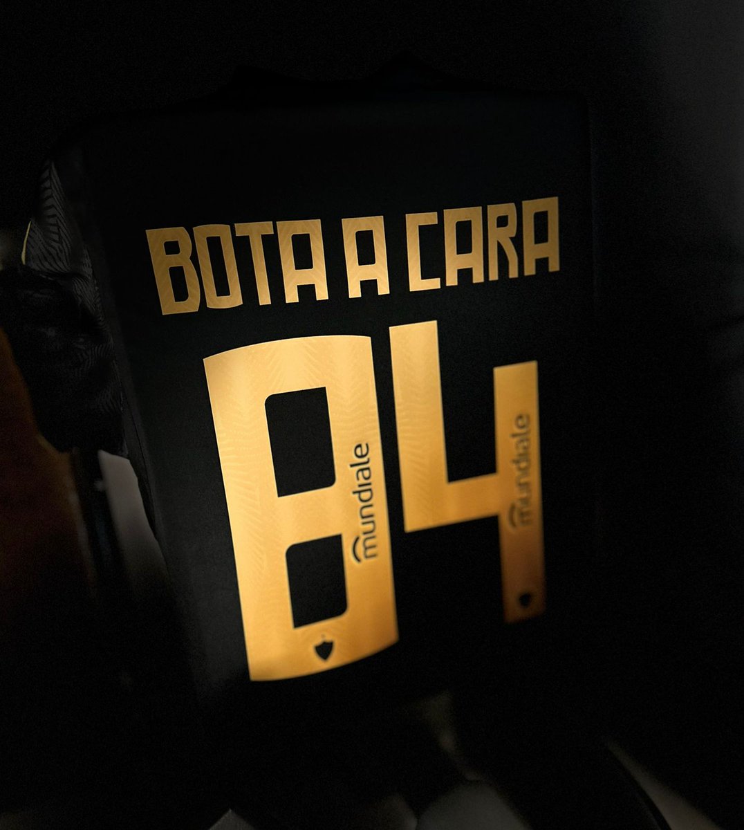General_Senra's tweet photo. 🇩🇪 #Galo https://t.co/pV3r486wbI
