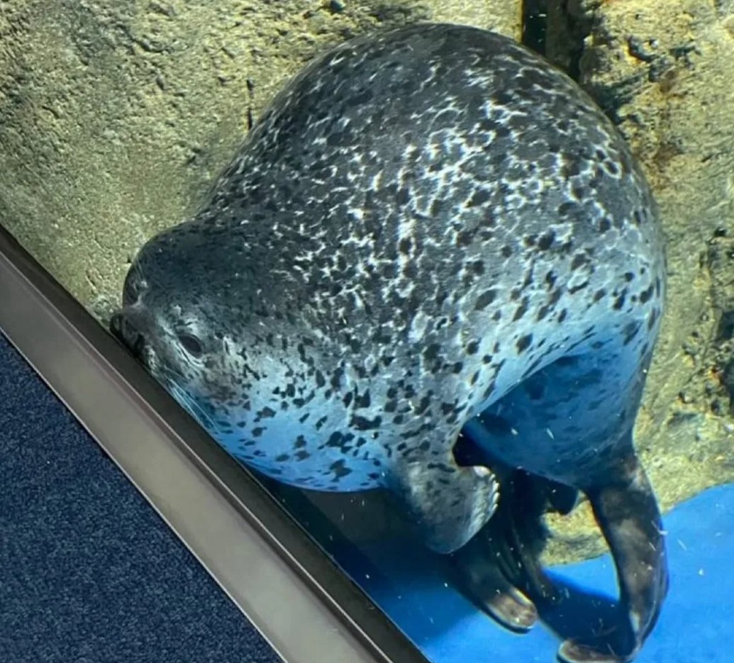 Im_Merky's tweet photo. wtf is my son doing . https://t.co/klYeODKONU