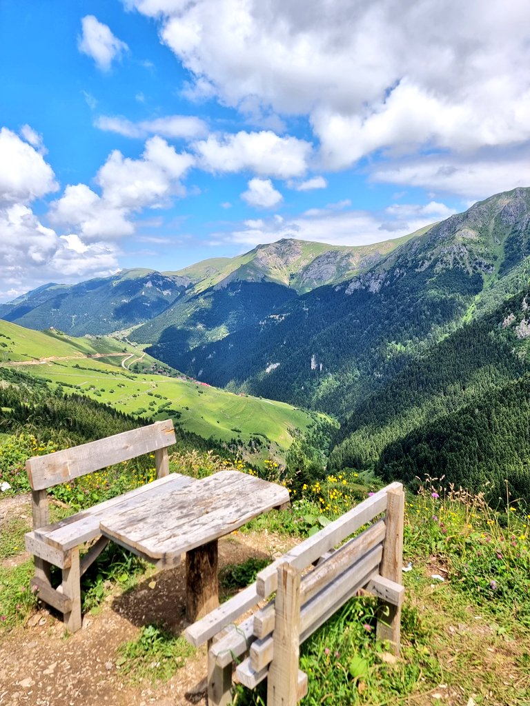 عبدالعزيز عبدالله الدباس tweet media