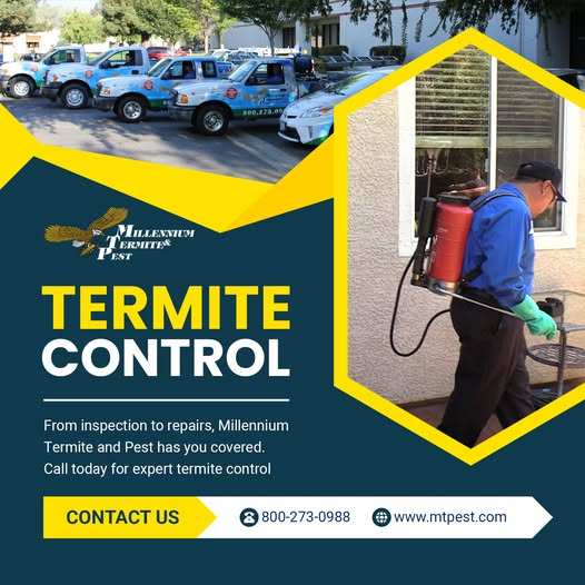 Millennium Termite & Pest (@MTPest) / Posts / X