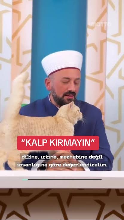 Hafız Mustafa Efe hocamızı gören var mı ? Hiçbir sosyal medya hesabında görünmüyor artık.