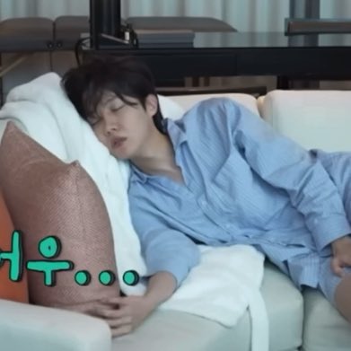 cgaleco's tweet photo. Doodle of my smol bean hobi just sleeping like a princess https://t.co/9doXrPmh3U