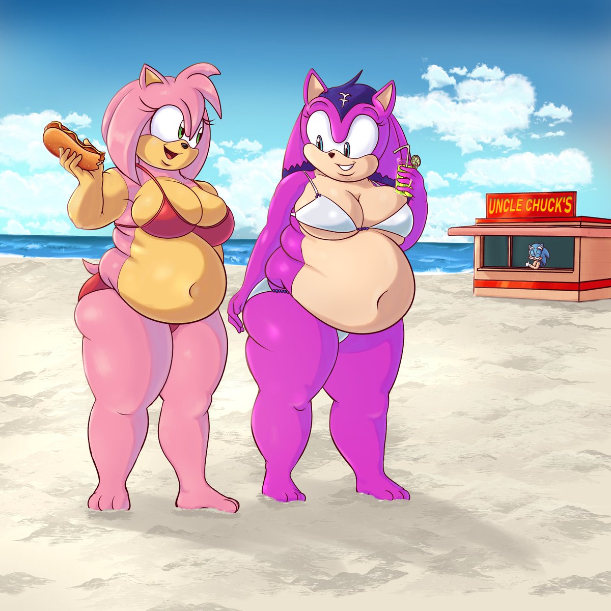 A commission from MaxVerstappenFan! Amy Rose's new friend, Zoya