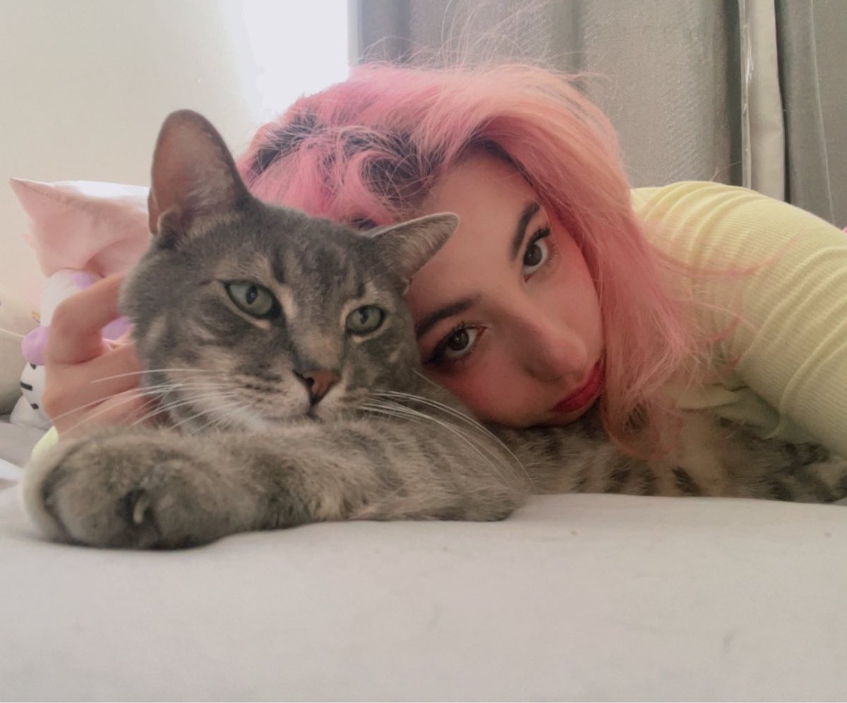 pau pau♡ tweet media