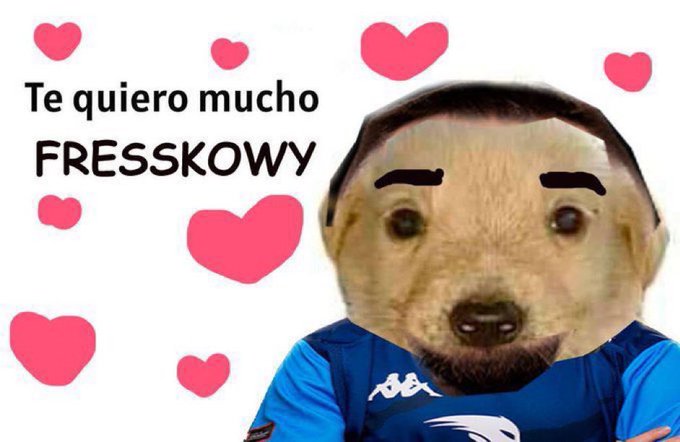 Elei21ct's tweet photo. @FresskowyLoL https://t.co/iKq6u6neK9
