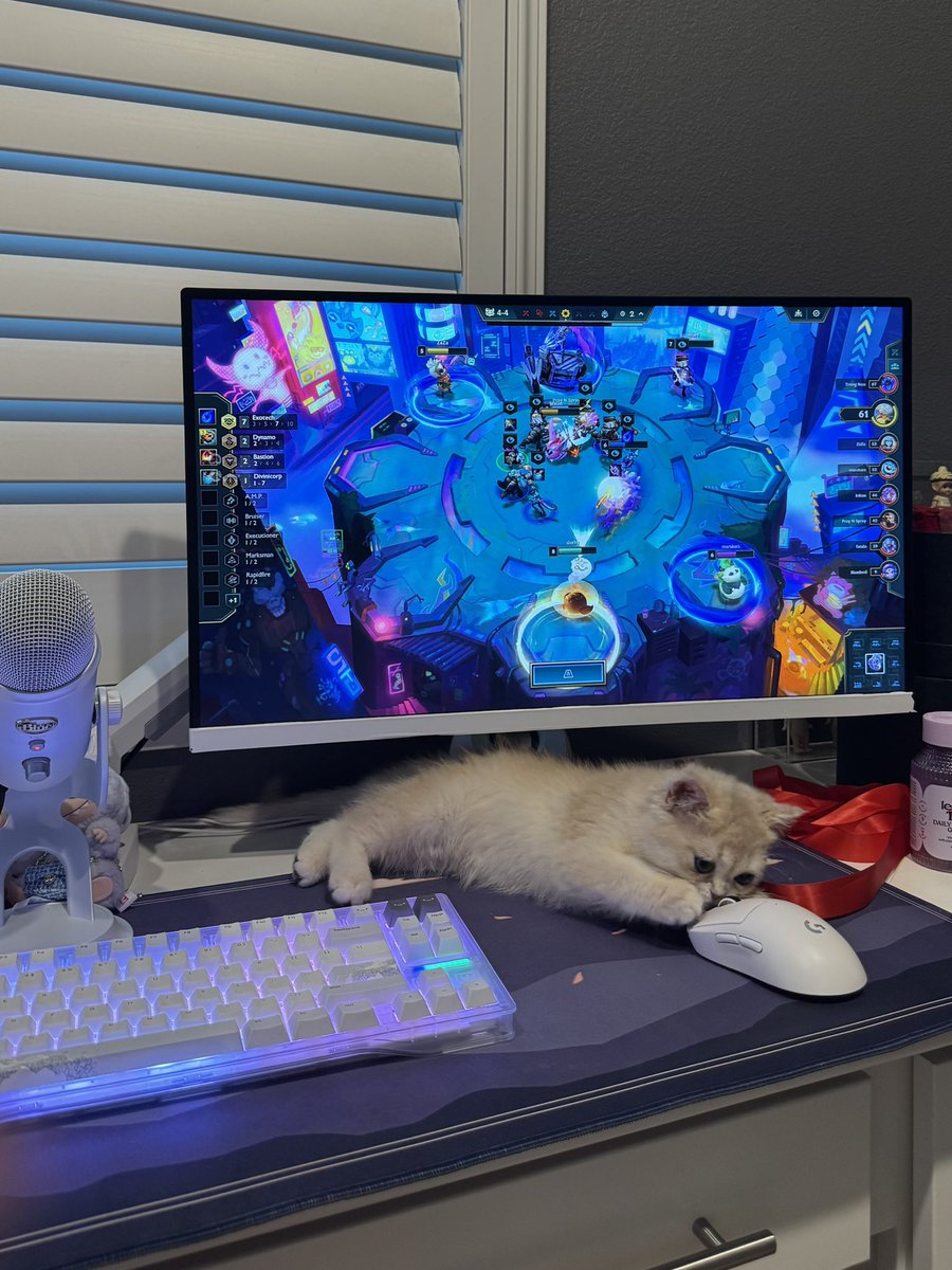 vvnwenn's tweet photo. @TFT oolong likes to think he's challenger :D https://t.co/EKY1PD23qt