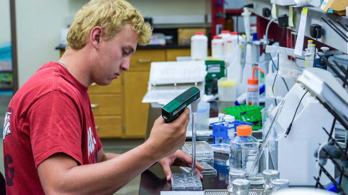 🔬 Valley City State University has been awarded a $478,000 grant from the National Science Foundation that will be used to fund VCSU undergraduate research projects over the next four years.

➡️ vcsu.news/4oHSBF5

#vcsu #grant #NationalScienceFoundation #research