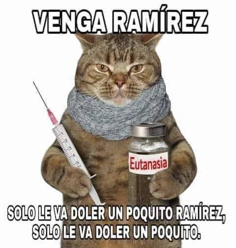 <a href="/VatosOoC/">Vatos out of context</a> Duerman a los putos pedofilos