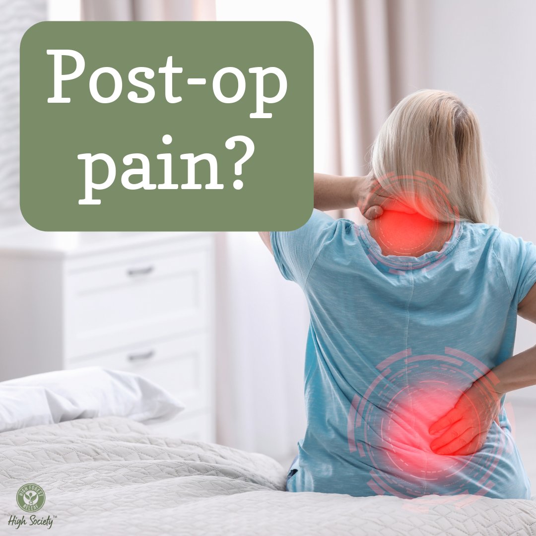 HiForestReleaf's tweet photo. Post-op pain? These two recovery options may help—with very different effects. Learn which works for what.
 Read more here or click the link in our bio: https://t.co/2arKlKFhWb
 #PostOpCare #NaturalOptions #HighForestReLeaf https://t.co/NtvDj7UCYD