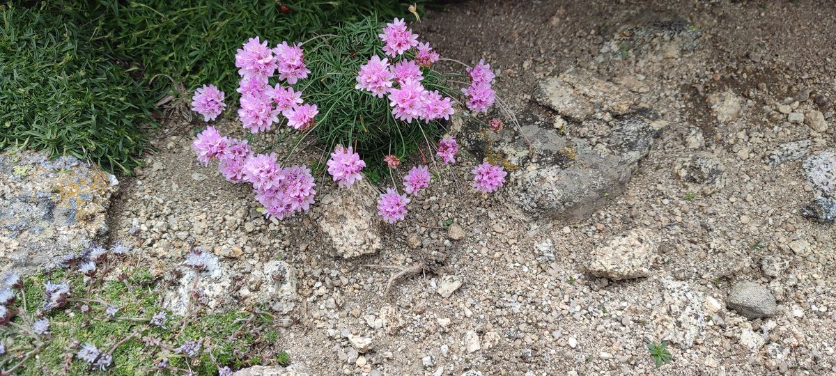 Nuria Blázquez tweet media