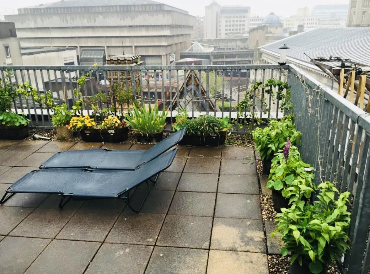 drzaf_pic's tweet photo. Wonderful to review the latest addition @ParadiseBham and hear of the sustainability strategies used in its development. Also an opportunity to see what my garden looks like from 3 Chamberlain πand memory of the area 15 years ago! #Birmingham #workspaceEvolved https://t.co/NzSM4eJNst