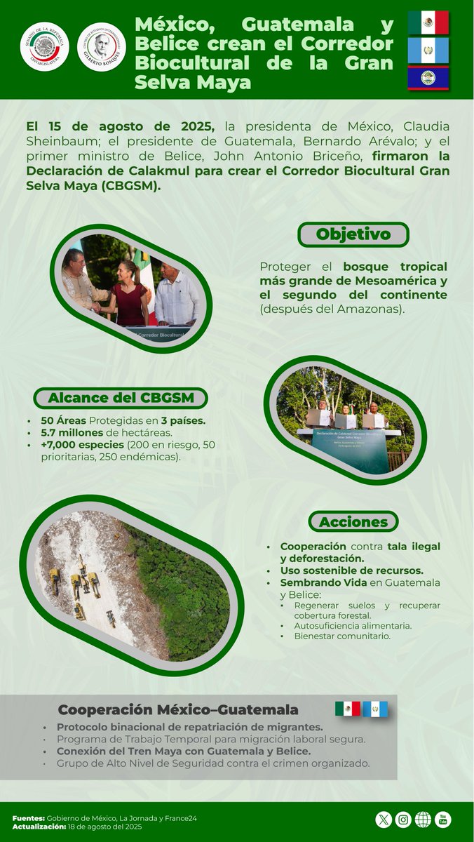 Conoce en esta infografía el alcance del Corredor Biocultural Gran Selva Maya:
