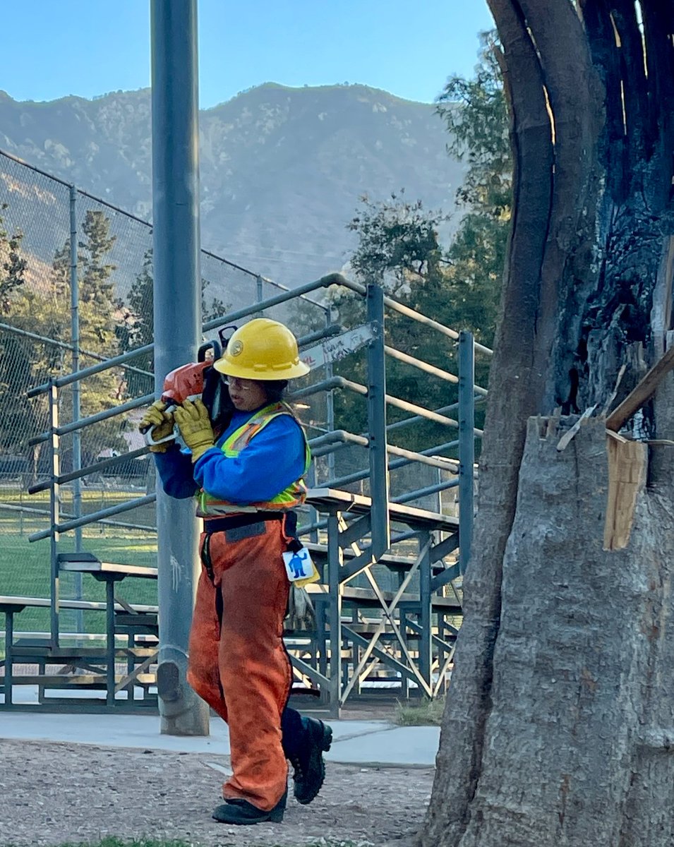 California’s natural and working lands, from forests and wetlands to state parks and urban green spaces, are key to reaching our 2045 carbon neutrality goals. But they need sustained investment.

We’re calling on you <a href="/CAgovernor/">Governor Gavin Newsom</a> <a href="/ilike_mike/">Mike McGuire</a> &amp; <a href="/CASpeakerRivas/">Speaker Robert Rivas</a> to:
✅ Reauthorize