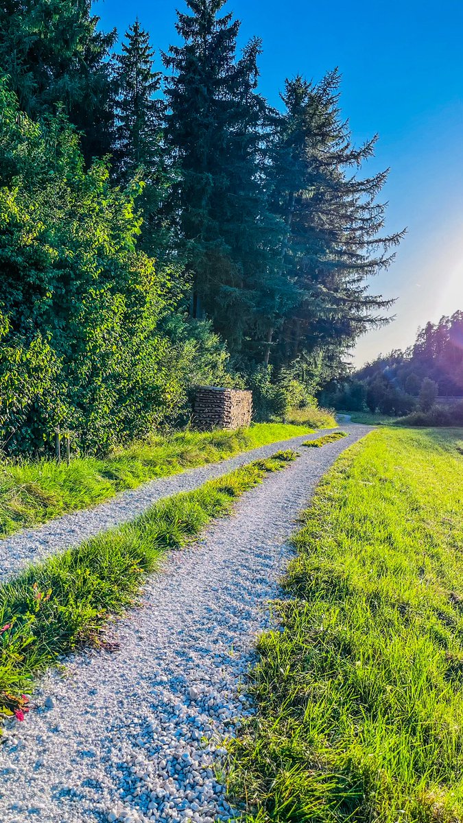 matthiassuess's tweet image. Keine Dönerbude weit und breit. Echt schrecklich hier.