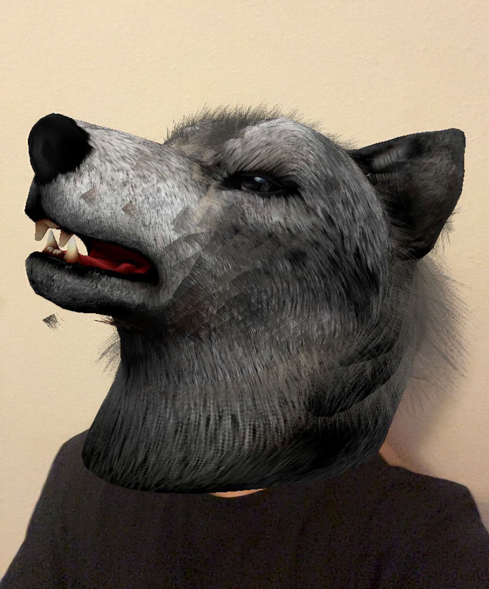 kevscade's tweet image. good morning fellow packmates