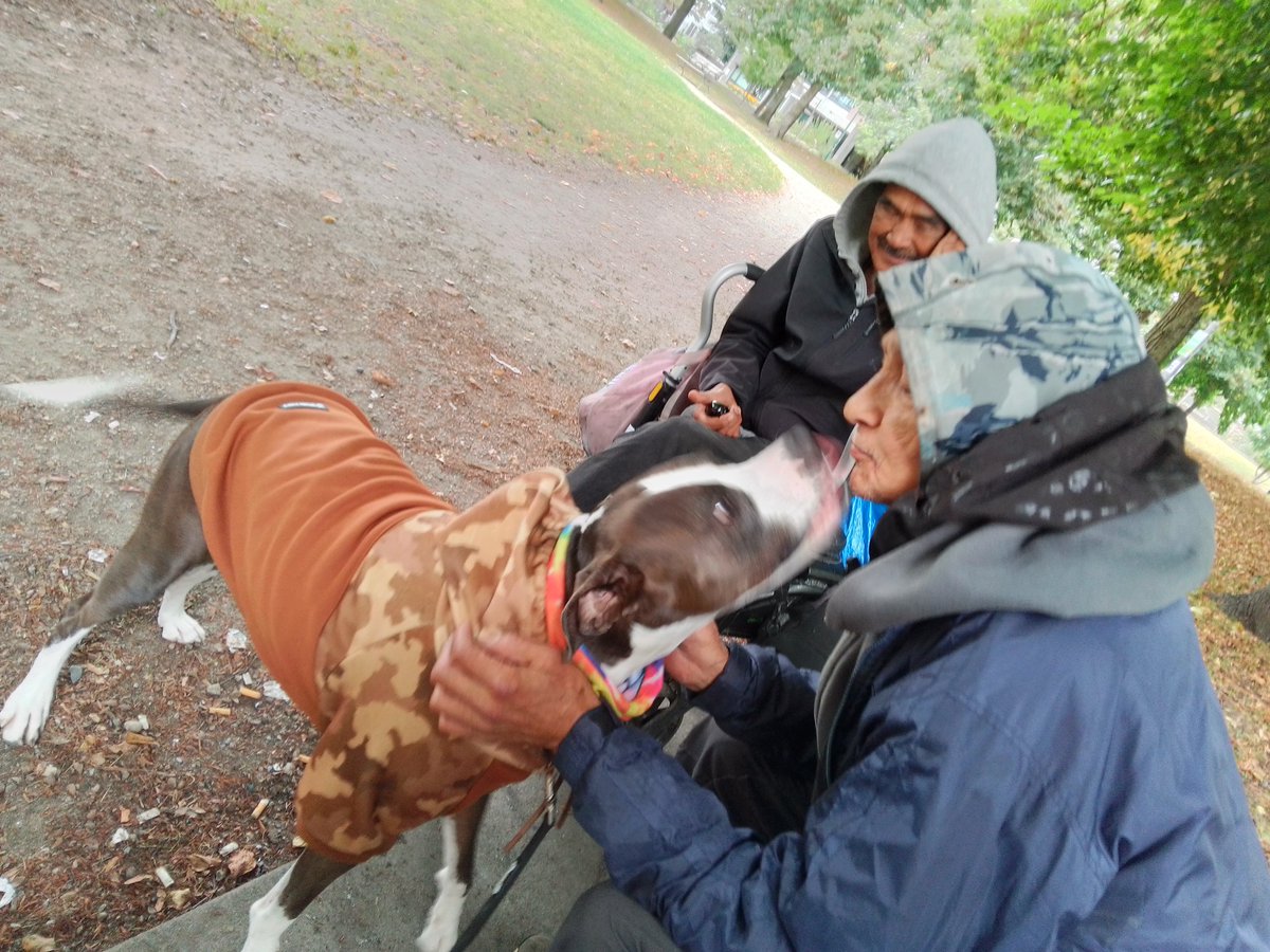 LebrockTony's tweet image. Tues🌅🐕🏞️⌛ Tribal🪶Clan🐾💙🐾💙💙🥰💙💙🐾💙🐾
#nativepride #nativefriends
#allmyrelations #nativetwitter
#goodfriends #dogfriendly #pittiewatching #dogwatching
#MadamRiley #MorningVibes